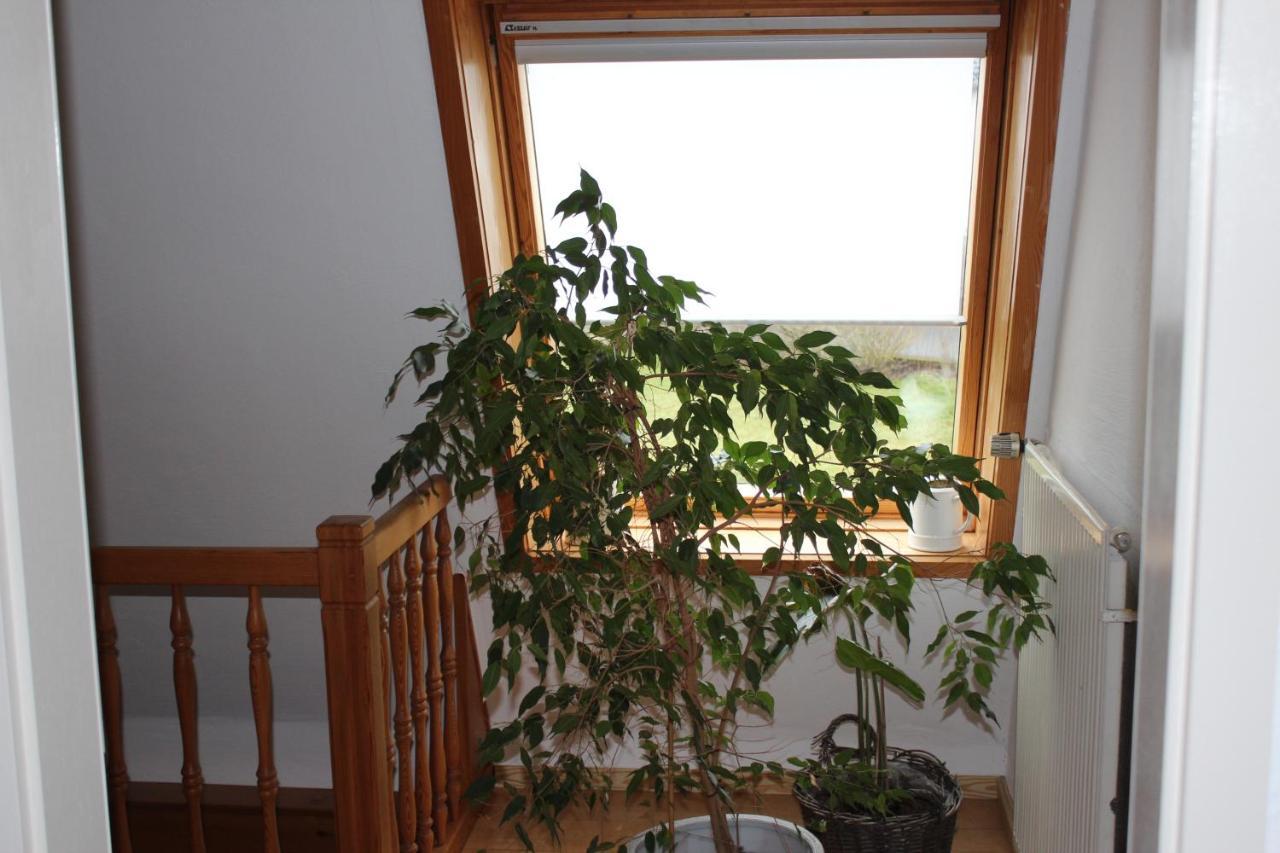 Ferienwohnung Nett Бланкенхайм Экстерьер фото